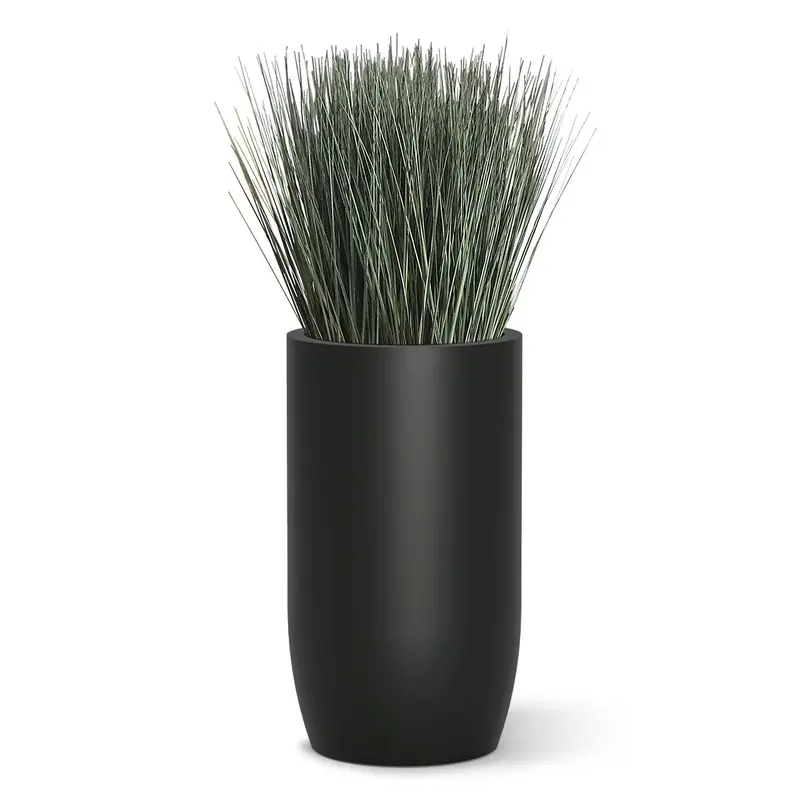 Grass