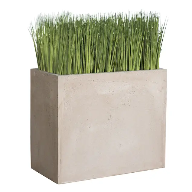 Grass