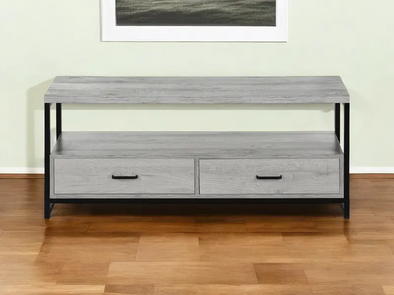 Gray Cabinet Enclosed Storage TV Stand By Homeroots