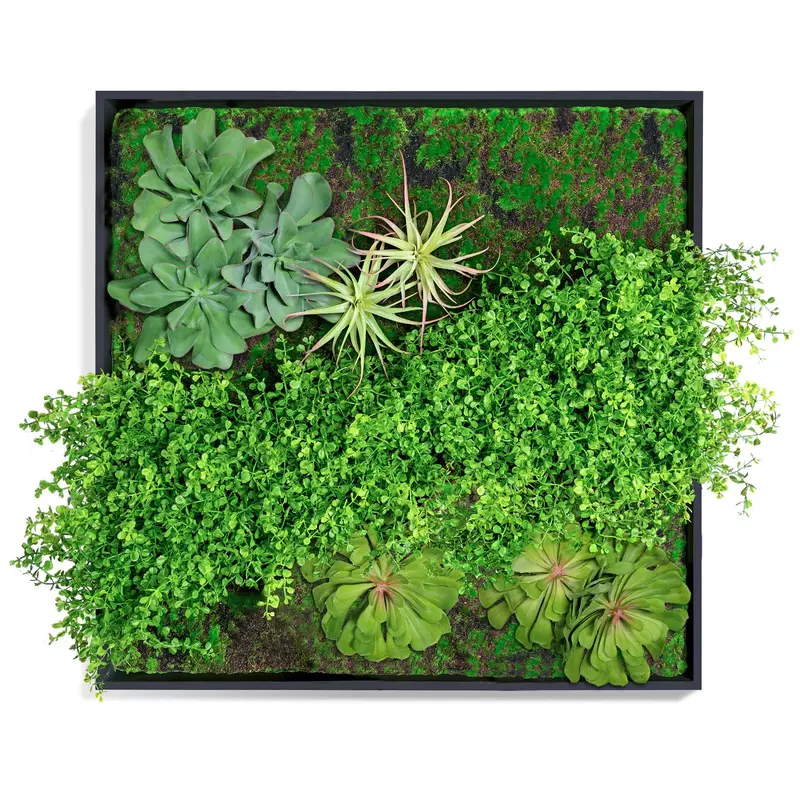 Green Wall, Button Fern Mix By Gold Leaf