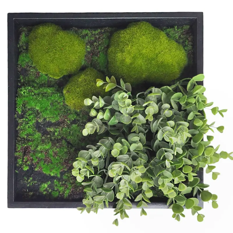 Green Wall, Mini Eucalyptus 1 By Gold Leaf