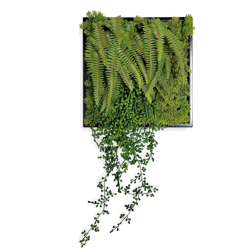 Green Wall, Mini Fern & Sedum Pearls 1 By Gold Leaf