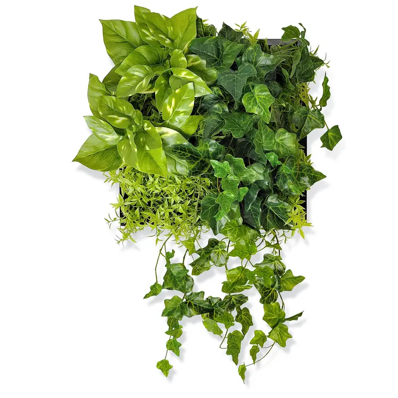 Green Wall, Mini Ivy & Pothos Mix 1 By Gold Leaf