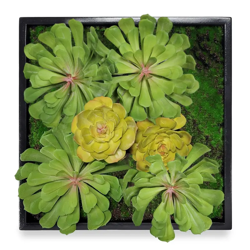 Green Wall, Mini Pulidonis & Echeveria By Gold Leaf