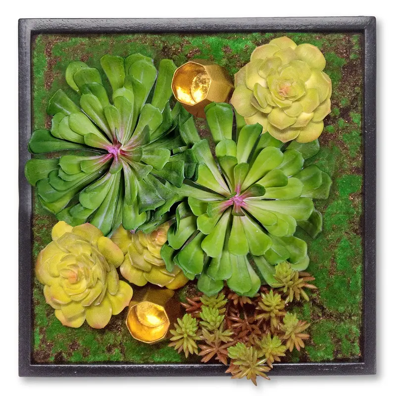 Green Wall, Mini Sunset Mix w/ Wall Play 2 By Gold Leaf