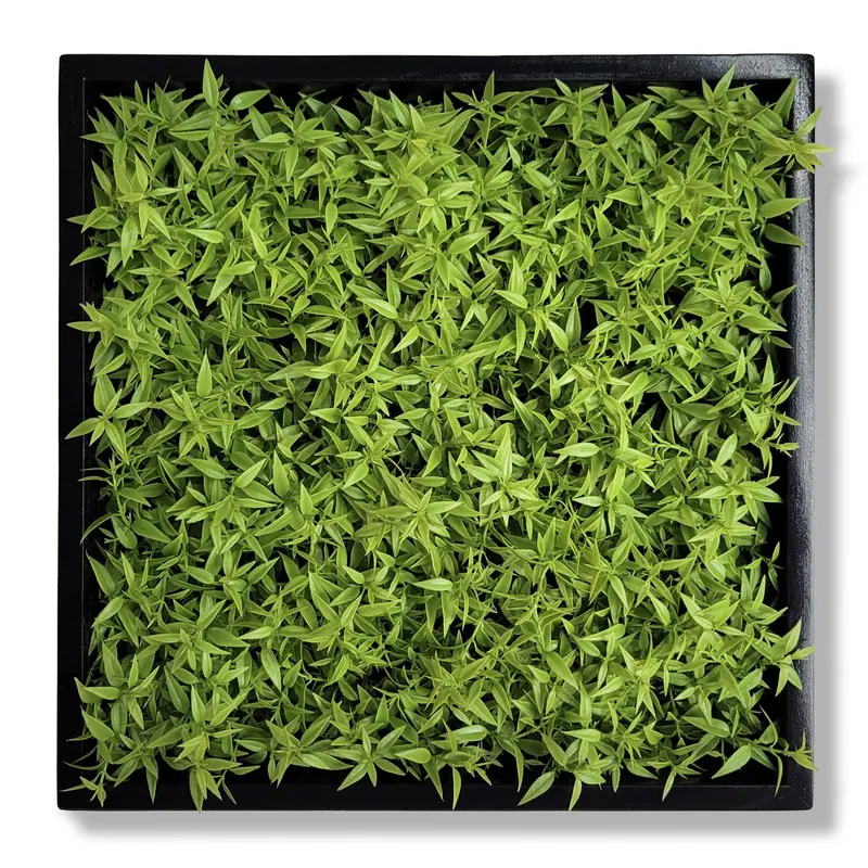 Green Wall, Mini Texture Leaf 1 By Gold Leaf