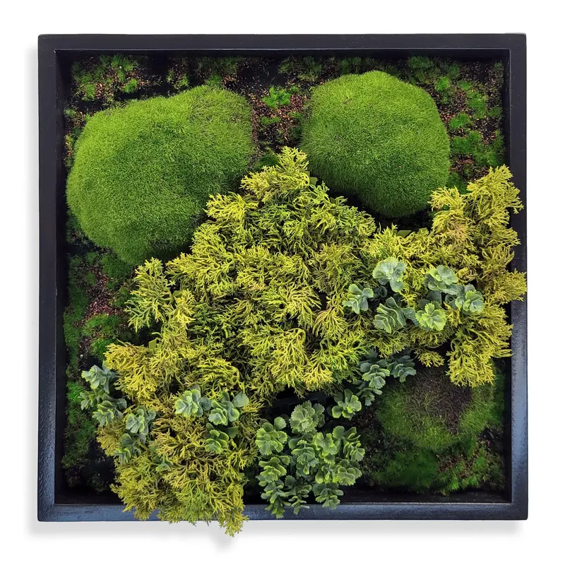 Green Wall, Mini Texture Mix 5 By Gold Leaf