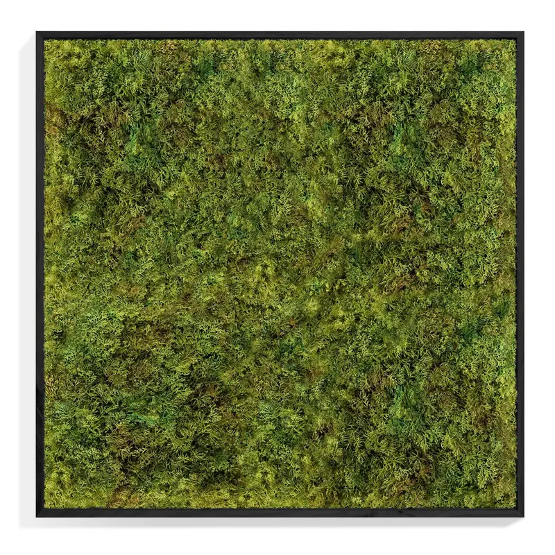 Green Wall, Textured Moss, Black Shadow Box By Gold Leaf