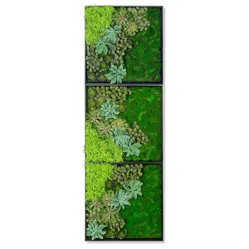 Green Wall, 'Wave Succulent 3' By Gold Leaf