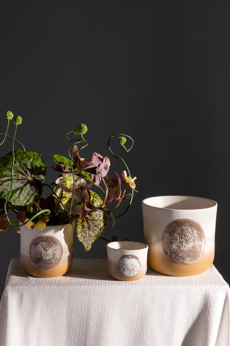 Hala Pot Set of 8 By Accent Decor