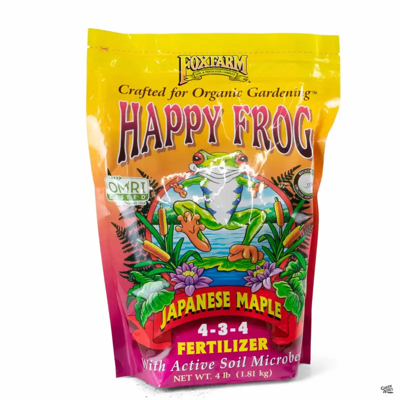 Happy Frog® Japanese Maple