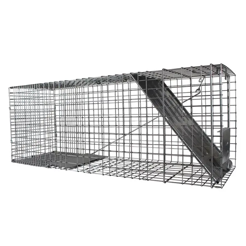 Havahart Large Live Catch Cage Trap For Cats and Raccoons 1 pk - Deal of The Week