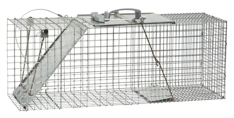 Havahart Large Live Catch Cage Trap For Cats and Raccoons 1 pk - Open Box