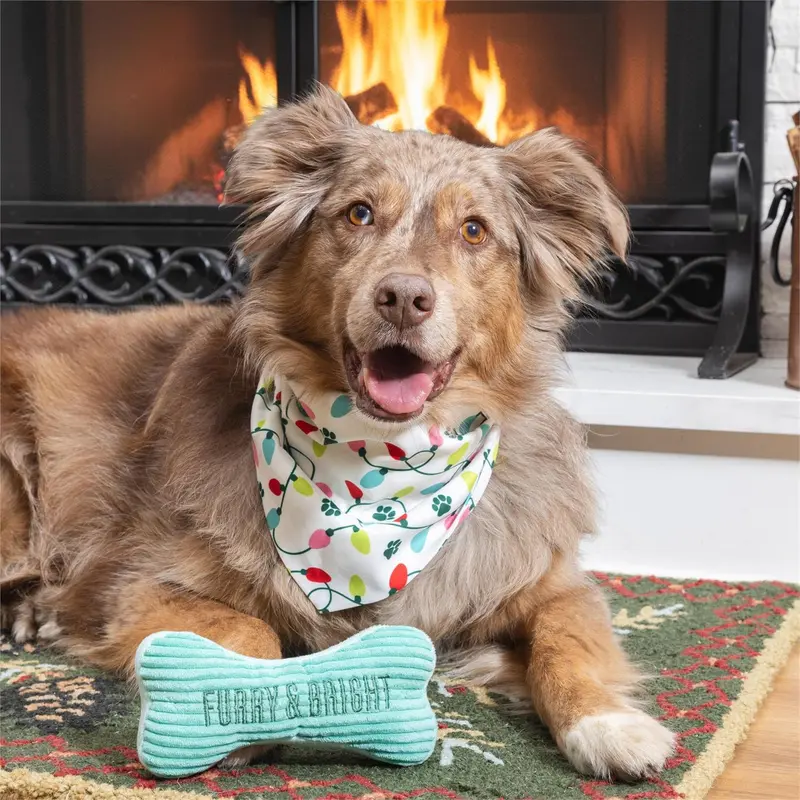 Heartfelt Cheer Pet Supplies & Accessories, Furry & Bright Bandana Gift Set