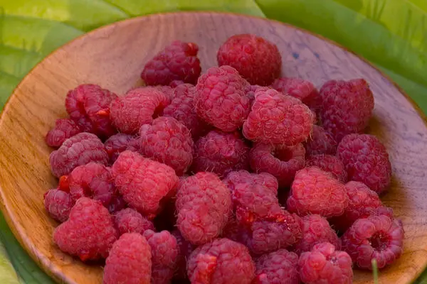 Heritage Raspberry