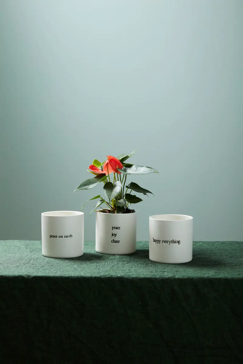 Holiday Expressions Pot Set of 8 By Accent Decor