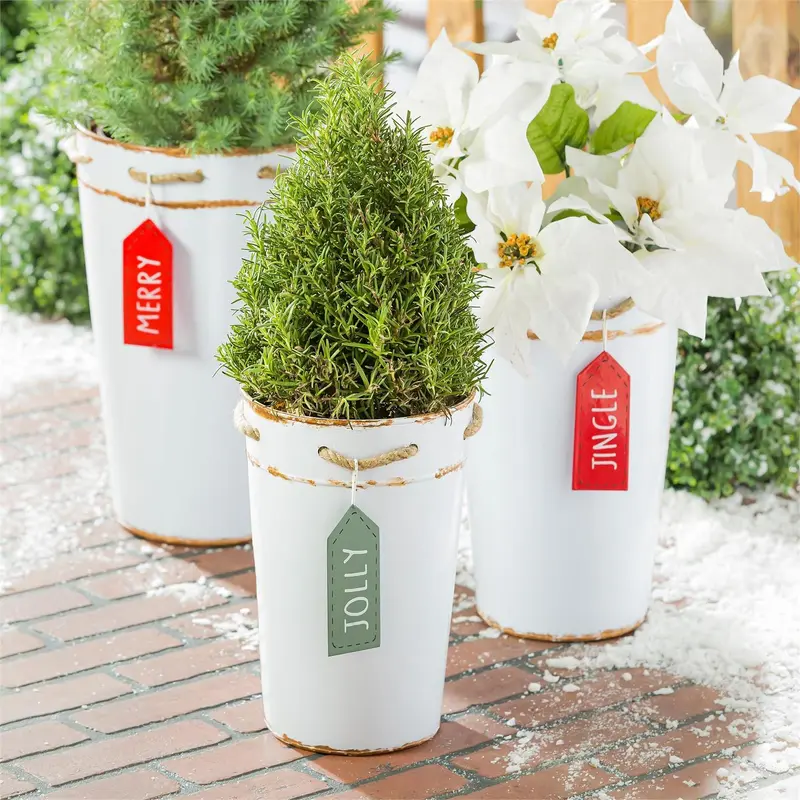 Holiday Poinsettia Planter, French Bucket with Holiday Tag, Set of 3