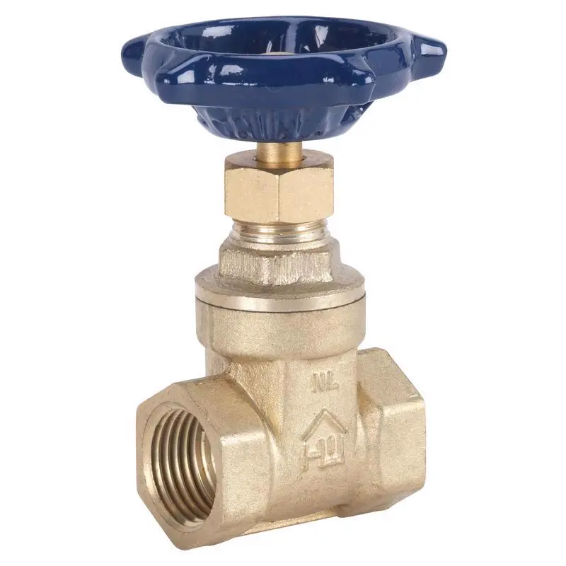 Homewerks 1 in. FIP Brass Gate Valve - Deal of The Week