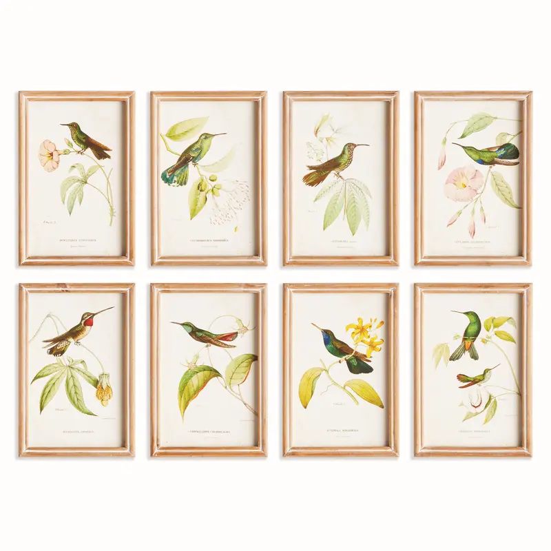 HUMMINGBIRDS IN BLOOMS STUDY, SET OF 8