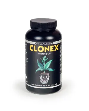 Hydrodynamics Clonex Rooting Gel