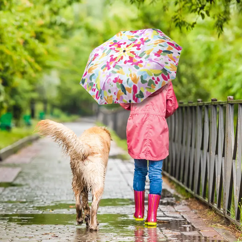 In Bloom Motif Compact Manual Umbrella