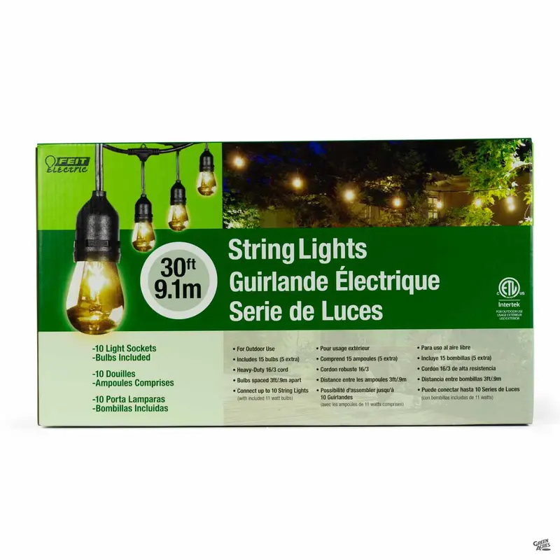 Incandescent String Light Set