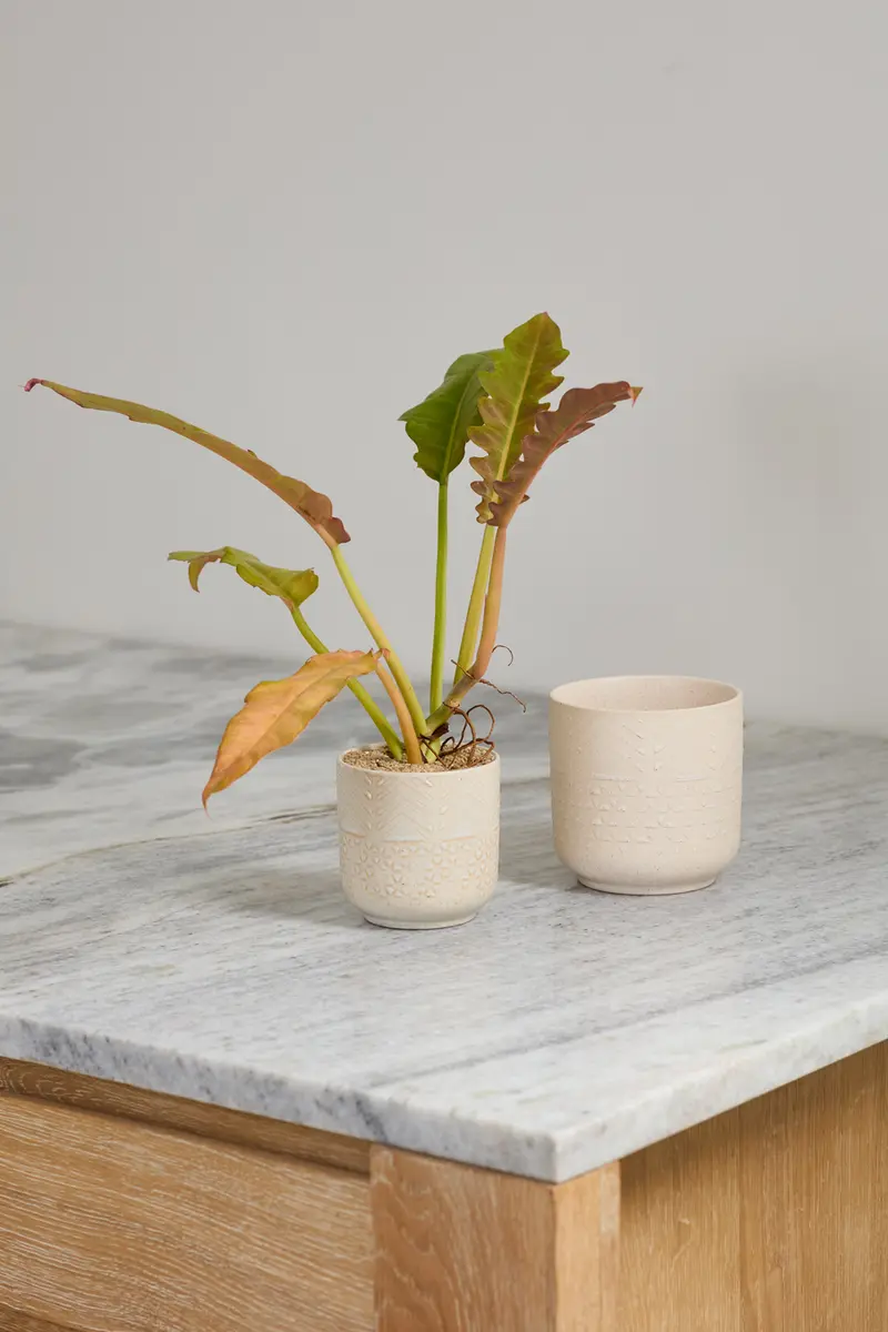 Indo Pot Set of 4 By Accent Decor