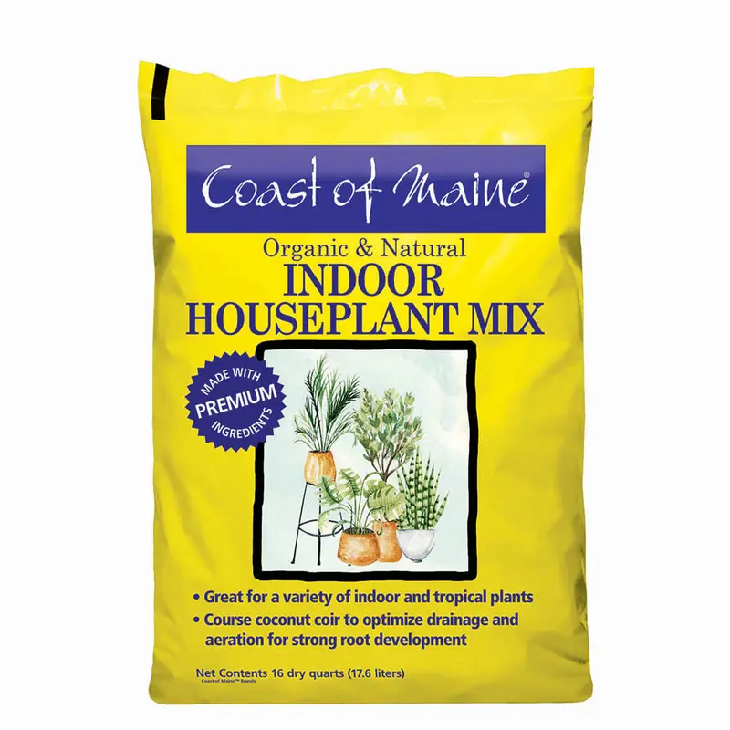 Indoor Houseplant Mix