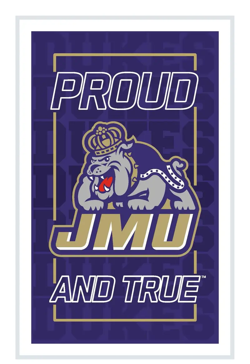 James Madison University College Rectangle Neolite LED Decor