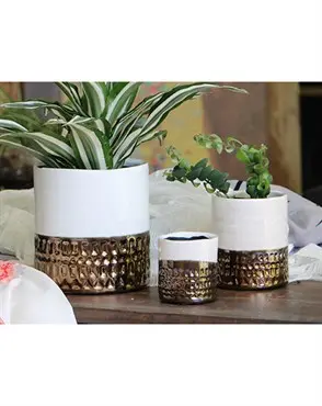 Jewel Cache Pots BFG