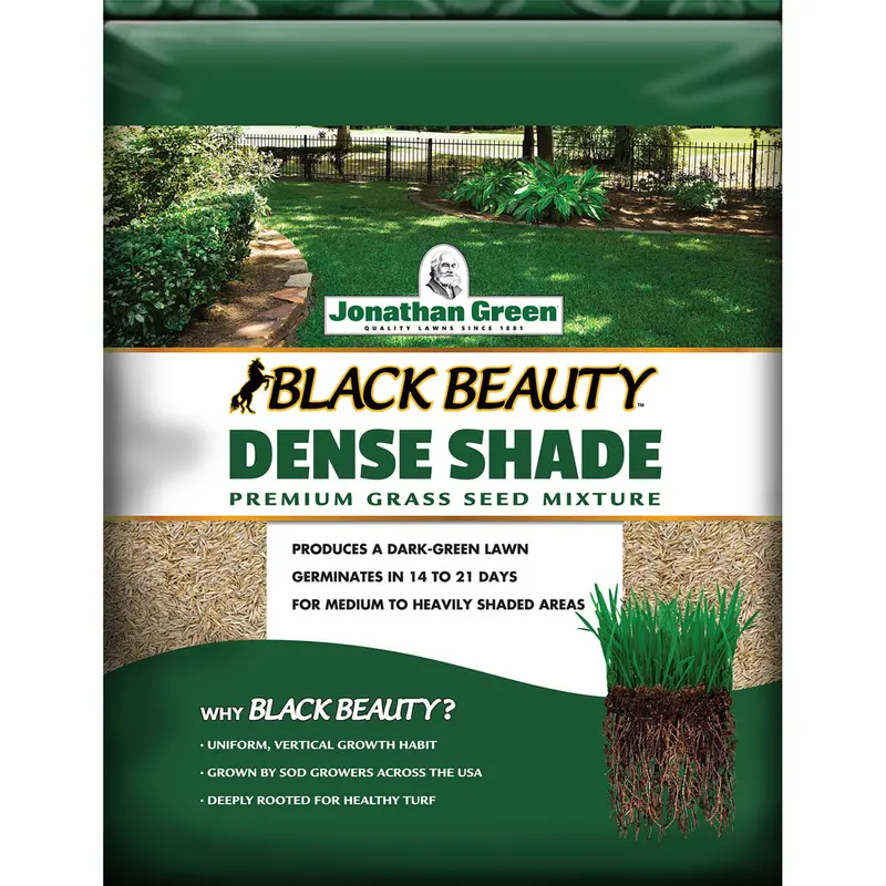 Jonathan Green Black Beauty Dense Shade Mixed Full Shade Grass Seed 3 lb - Deal of The Week