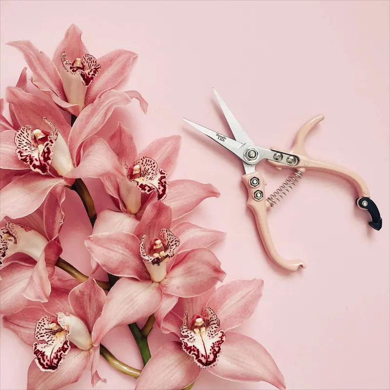 Jungle Club Pruning Shears