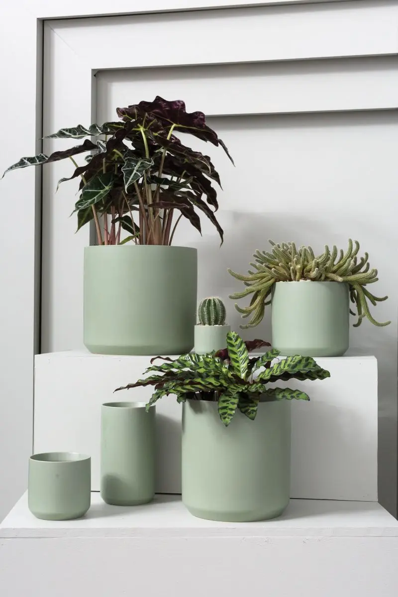 Kendall Collection 10.75"x 10" Pot By Accent Decor