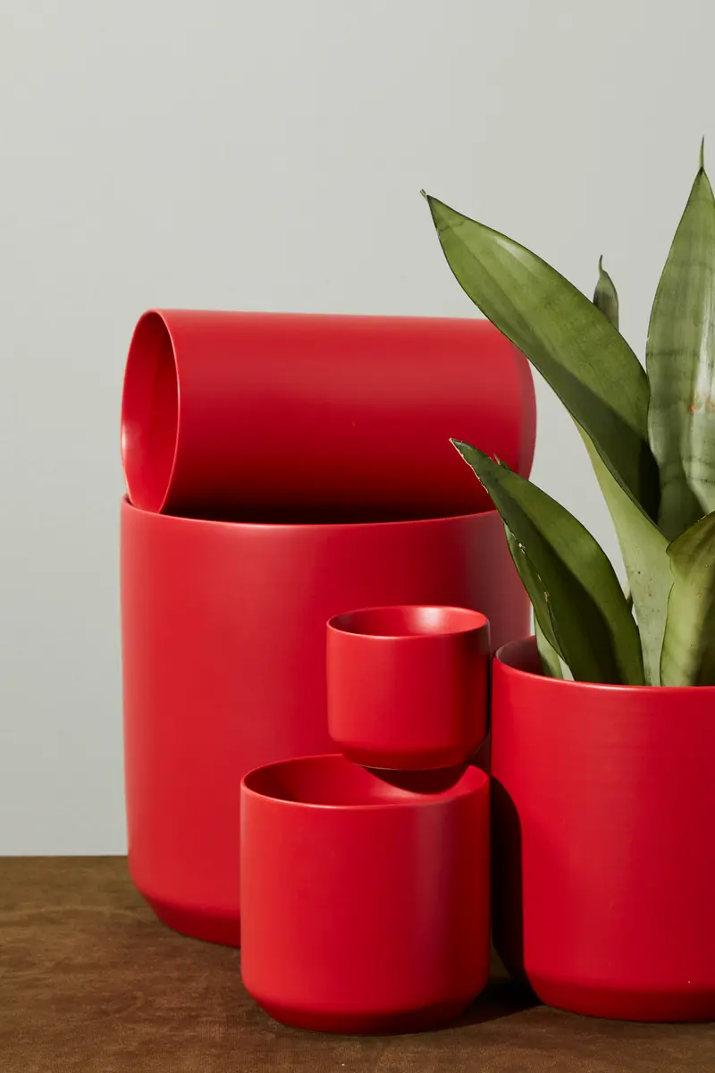 Kendall Holiday Collection Set of 8 By Accent Decor