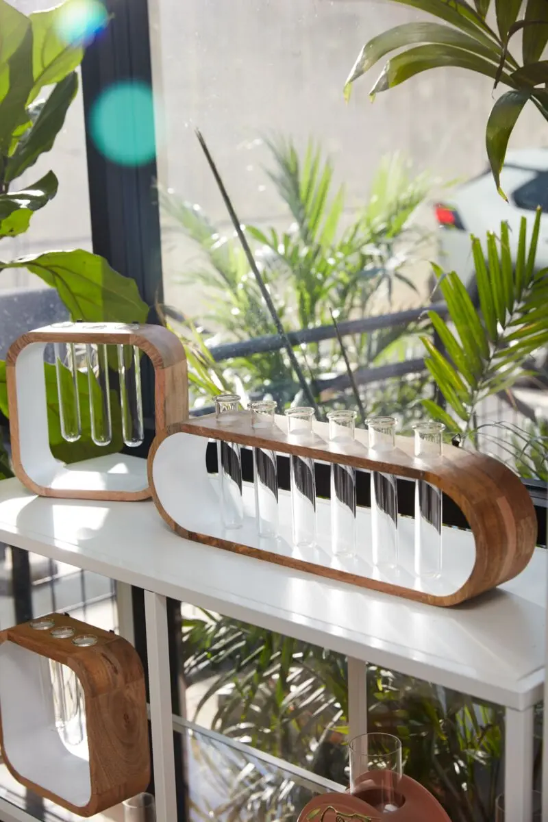 Kennedy Propagation Stand By Accent Decor