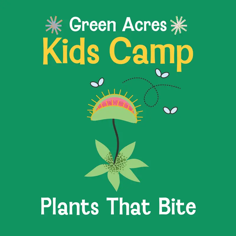 Kids Camp