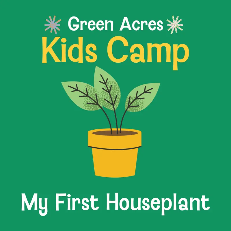 Kids Camp