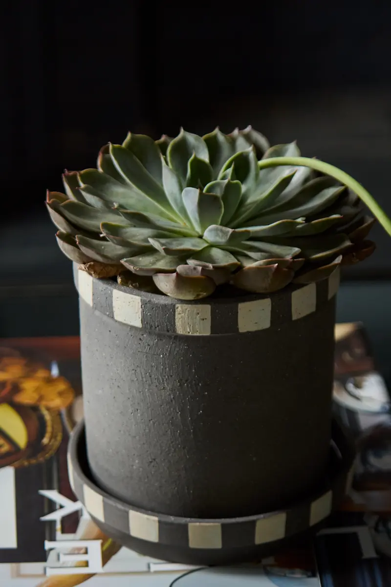 Kimo Pot with Saucer Set of 2 By Accent Decor