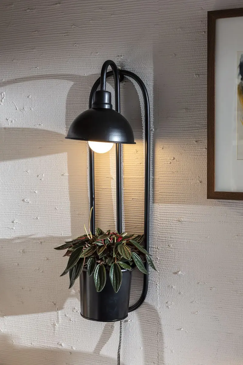 Kira Grow Light Hanging Wall Planter 6.5" x 25" By Accent Decor