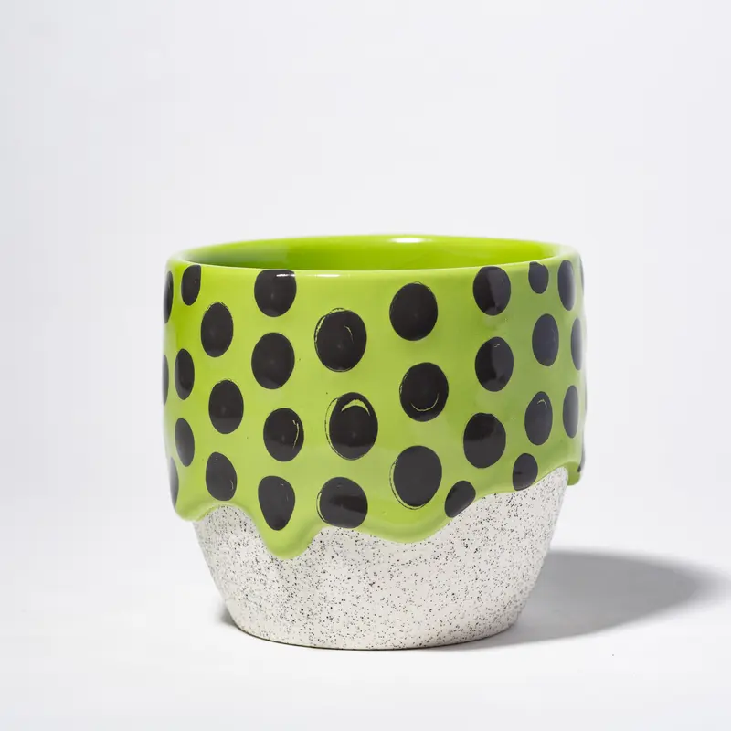 Kiwi Belly Cup