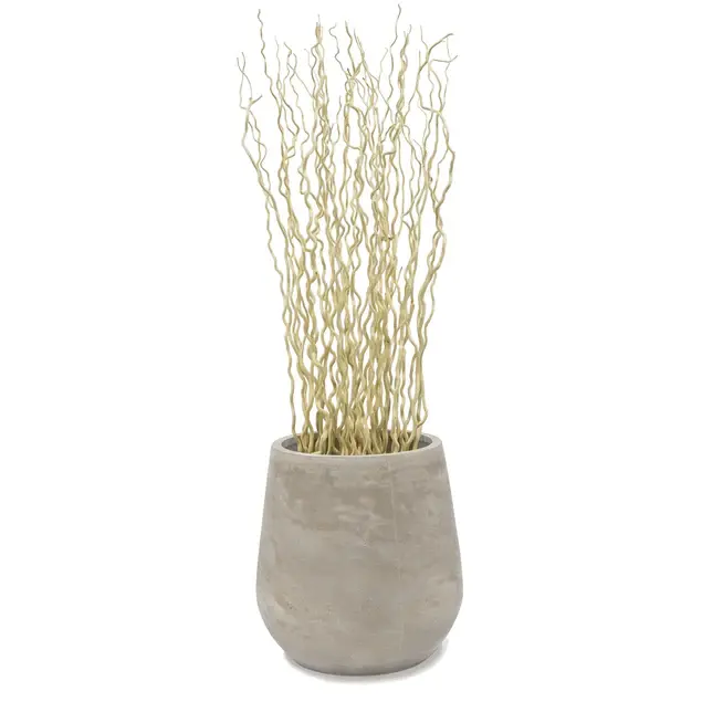 Kuwa Branch 5-6'L bleached Set Of 15 By Gold Leaf Design Group