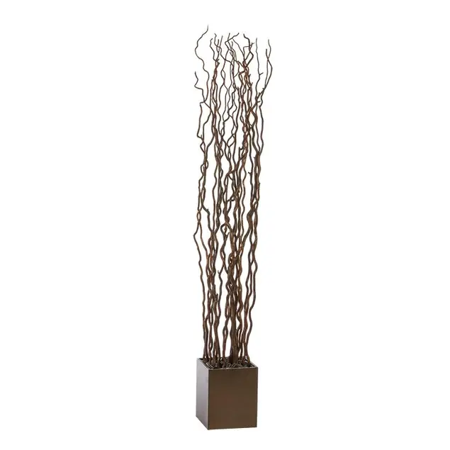 Kuwa Branch 5-6'L brown Set Of 15 By Gold Leaf Design Group