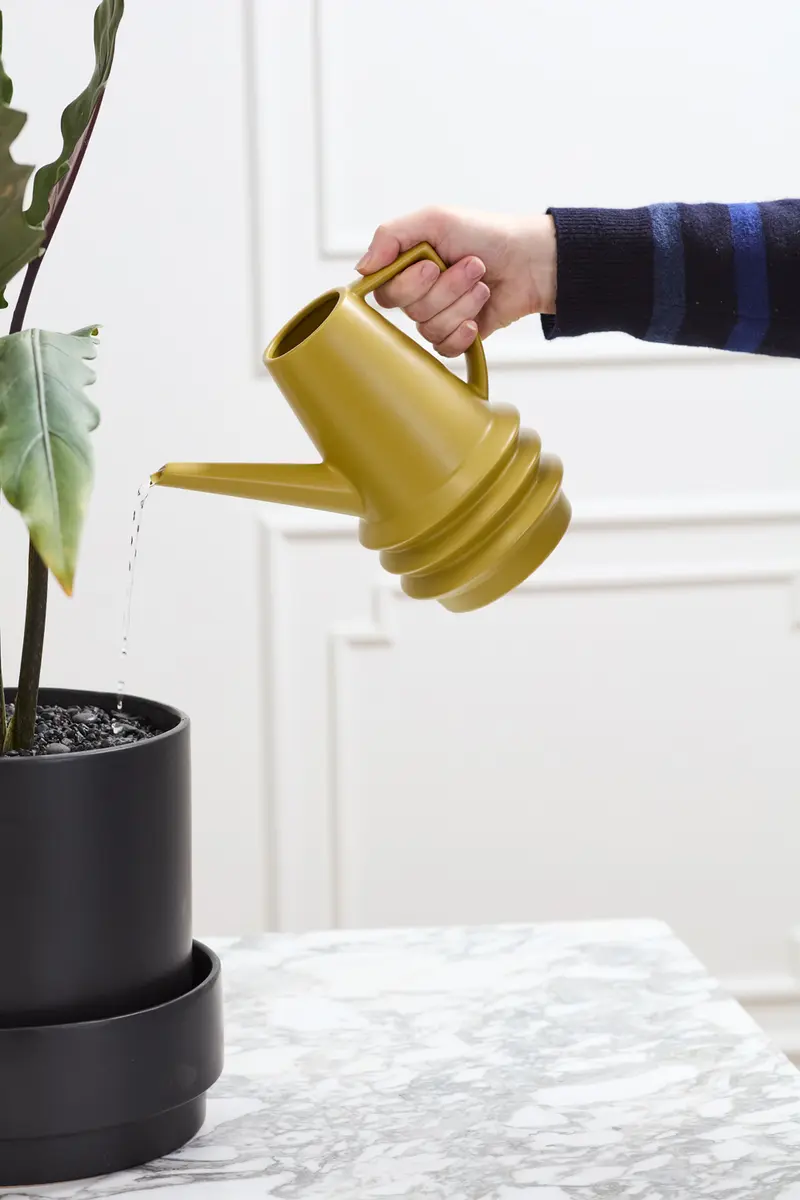 Laken Watering Can Set of 2 By Accent Decor