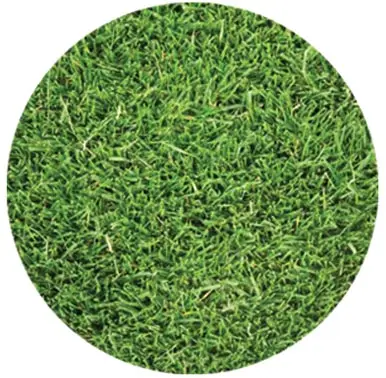 Latitude 36