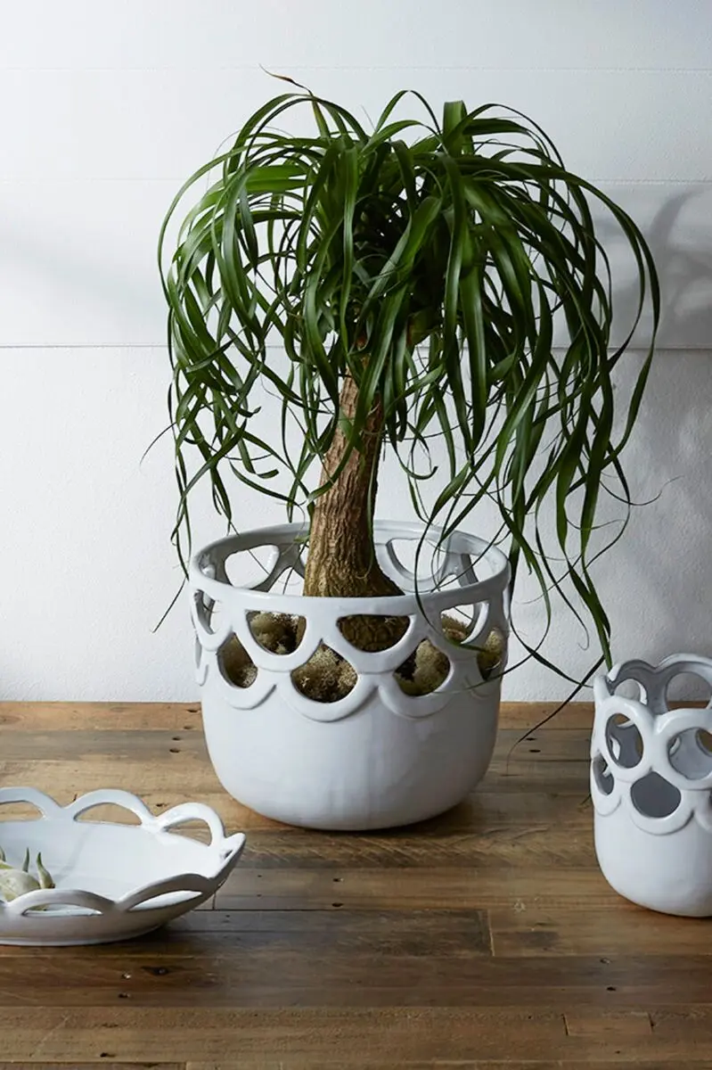 Lattice Pot 10"x 8.25" By Accent Decor