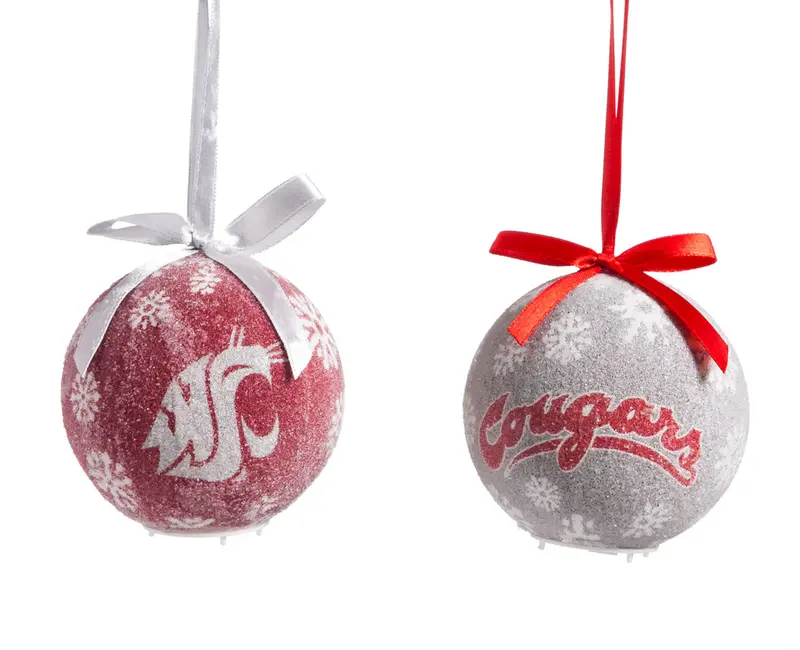 LED Boxed Ornament Set of 6, Washington State University