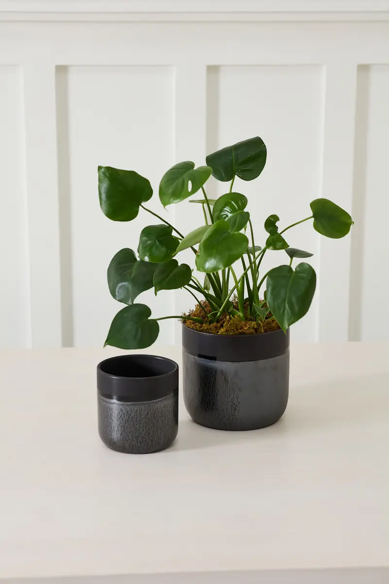 Lennon Pot Set of 4 By Accent Decor
