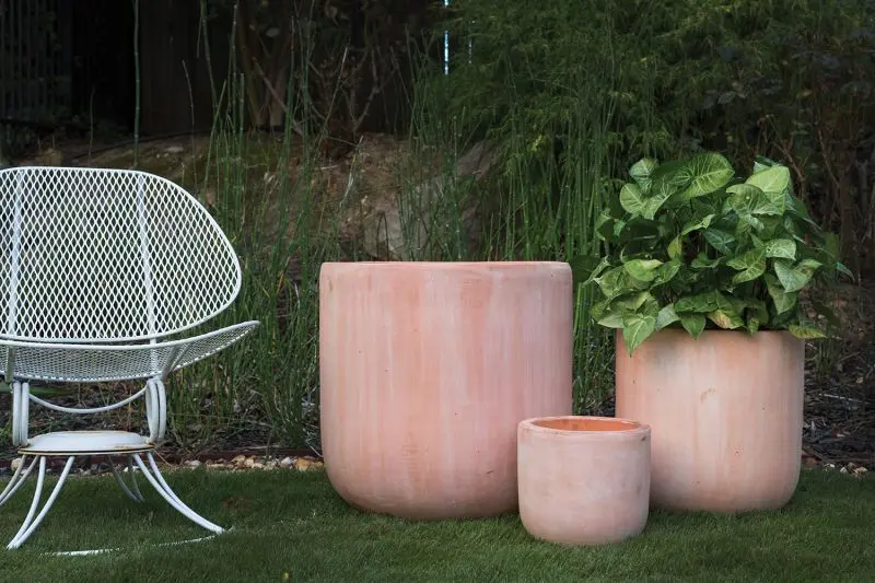 Lerato Pot By Accent Decor