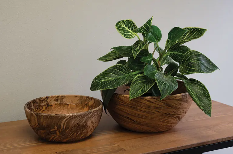 Low Bowl Planter WP