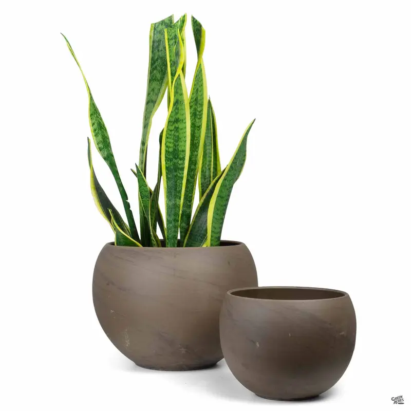 Luna Sphere Basalt Clay Pot
